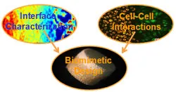 Research areas